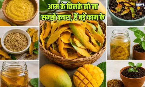 आम के छिलके फेंकने से पहले जानें ये 6 कमाल के उपयोग आम के छिलके फेंकने से पहले जानें ये 6 कमाल के उपयोग
