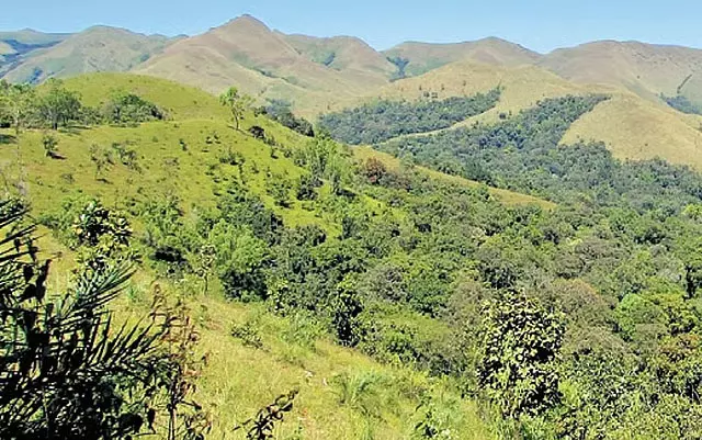 Karnataka : वेस्टर्न घाट के संरक्षण के लिए नेशनल पॉलिसी बनाने का प्रस्ताव Karnataka : वेस्टर्न घाट के संरक्षण के लिए नेशनल पॉलिसी बनाने का प्रस्ताव