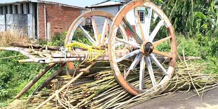 Digapahandi बालू से लदे ट्रक की बैलगाड़ी से टक्कर में दो किसानों की मौत Digapahandi बालू से लदे ट्रक की बैलगाड़ी से टक्कर में दो किसानों की मौत