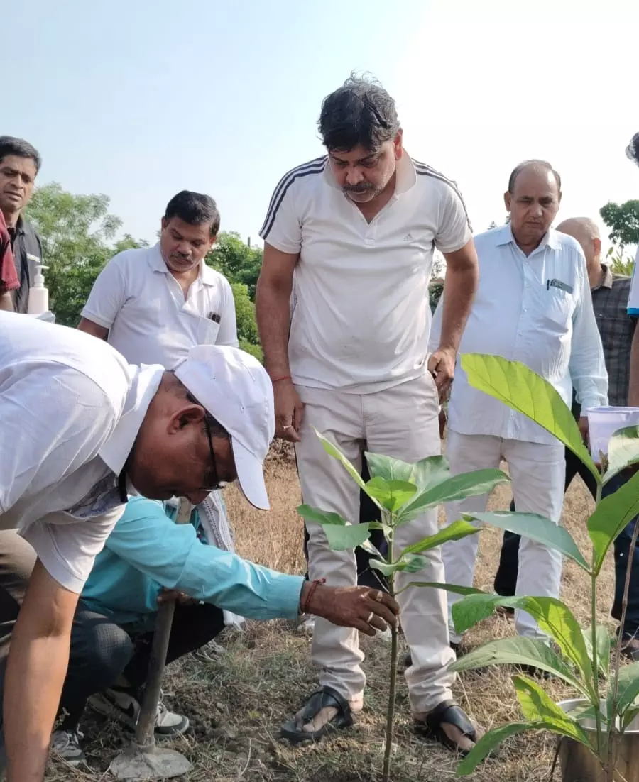 विश्व पर्यावरण दिवस के अवसर पर रायपुर रेल मंडल में वृक्षारोपण विश्व पर्यावरण दिवस के अवसर पर रायपुर रेल मंडल में वृक्षारोपण