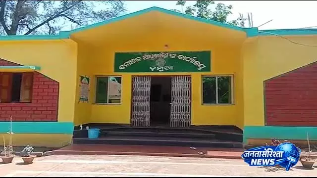 Keonjhar ज़िले में इंसान और हाथी के टकराव में एक युवक की हालत गंभीर Keonjhar ज़िले में इंसान और हाथी के टकराव में एक युवक की हालत गंभीर
