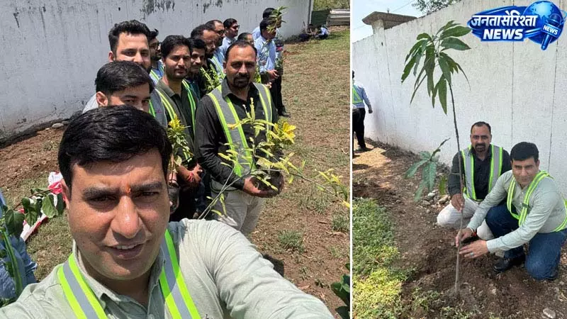 किंग्सपैन जिंदल नालागढ़ में विश्व पर्यावरण दिवस पर 50 कर्मचारियों ने रोपी हरियाली किंग्सपैन जिंदल नालागढ़ में विश्व पर्यावरण दिवस पर 50 कर्मचारियों ने रोपी हरियाली