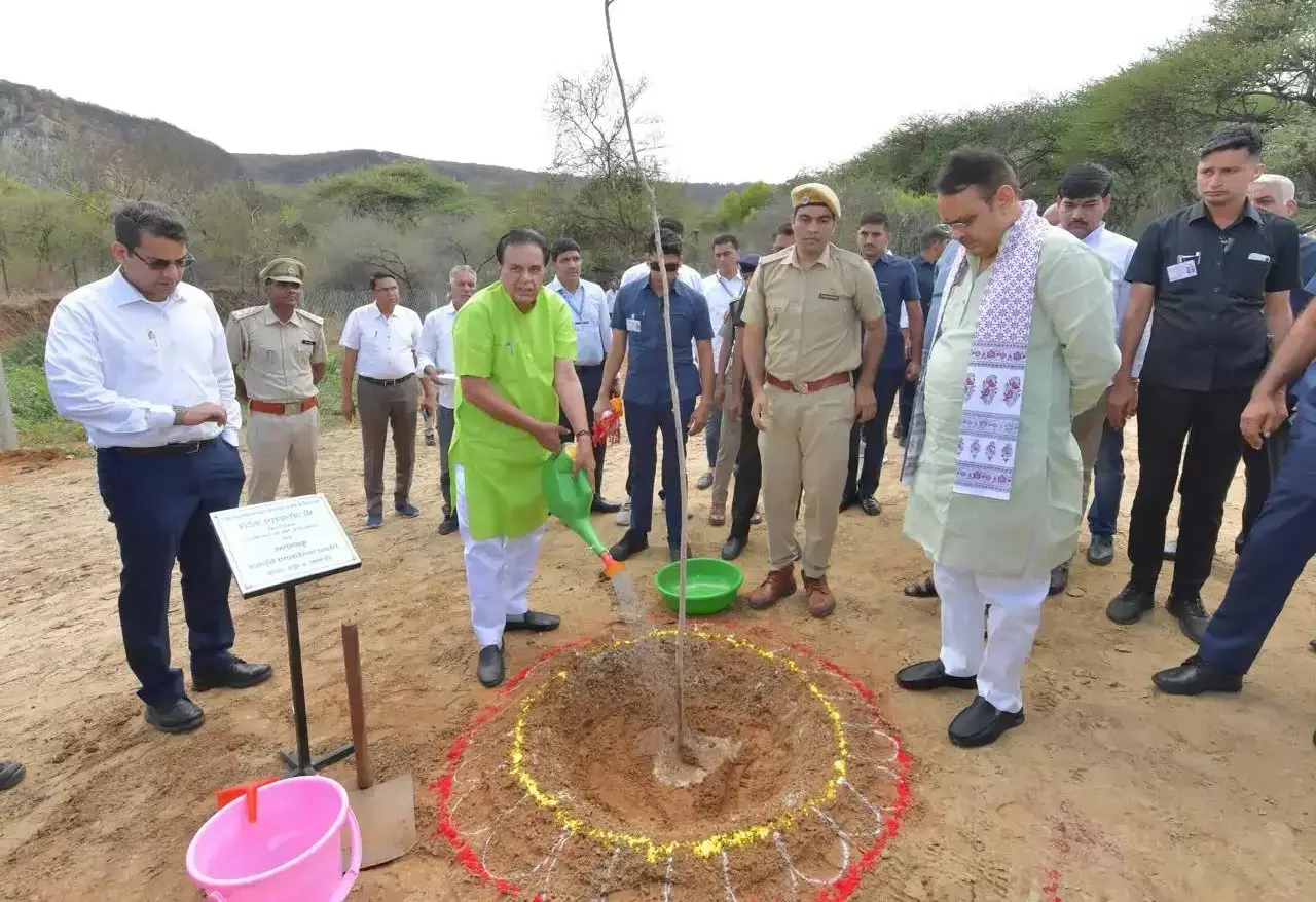 Jaipur: मुख्यमंत्री भजनलाल शर्मा ने पौधारोपण कर दिया पर्यावरण संरक्षण का संदेश Jaipur: मुख्यमंत्री भजनलाल शर्मा ने पौधारोपण कर दिया पर्यावरण संरक्षण का संदेश