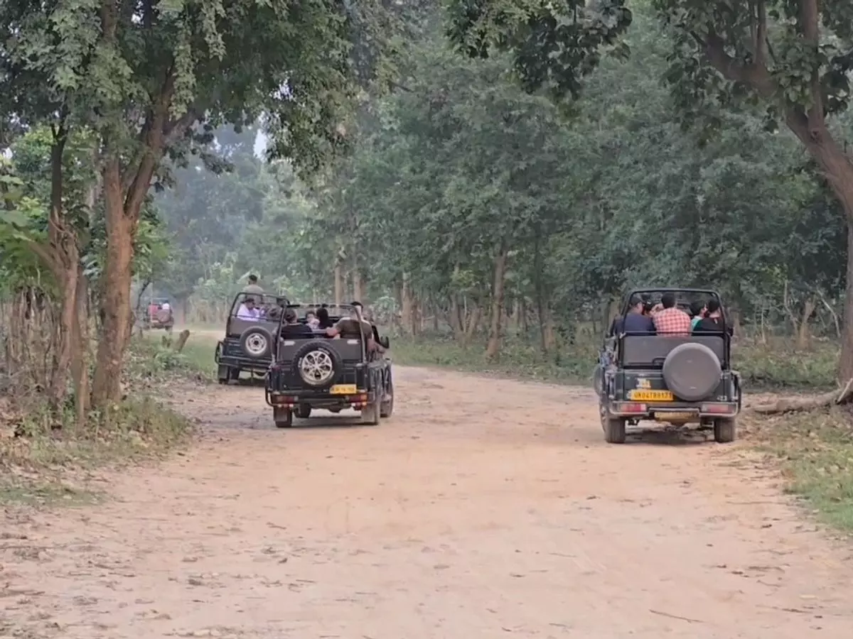 Ramnagar: कॉर्बेट में प्लास्टिक बोतलों के उपयोग पर प्रतिबंध की घोषणा Ramnagar: कॉर्बेट में प्लास्टिक बोतलों के उपयोग पर प्रतिबंध की घोषणा