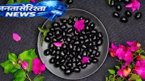 खट्टे-मीठे जामुन में छिपे हैं सेहत के कई फायदे खट्टे-मीठे जामुन में छिपे हैं सेहत के कई फायदे