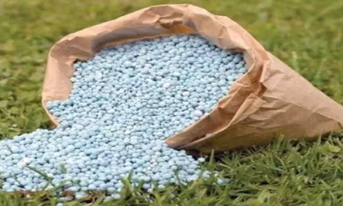 दो खाद कारोबारियों के लाइसेंस निरस्त, 61 को नोटिस जारी