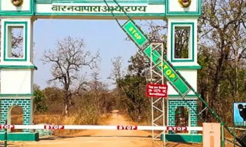 बारनावापारा अभयारण्य में नियमों का कड़ाई से पालन, आवागमन के लिये सफारी मार्ग पूर्णतः प्रतिबंधित बारनावापारा अभयारण्य में नियमों का कड़ाई से पालन, आवागमन के लिये सफारी मार्ग पूर्णतः प्रतिबंधित