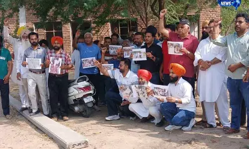 Faridkot में पेड़ों की कटाई पर विवाद
