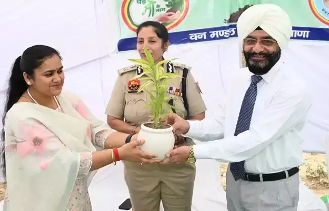 Sonipat: विश्व पर्यावरण दिवस पर सोनीपत में चला हरियाली बढ़ाने का अभियान