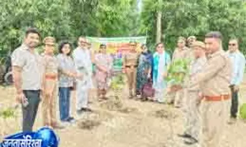 Palampur विश्व पर्यावरण दिवस पर वन विभाग की पहल