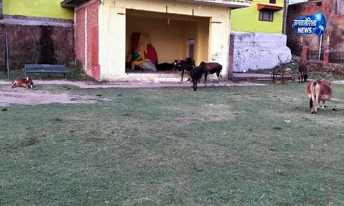 Himachal: नगर निगम की अनदेखी के कारण नूरपुर का चिल्ड्रन पार्क बदहाल