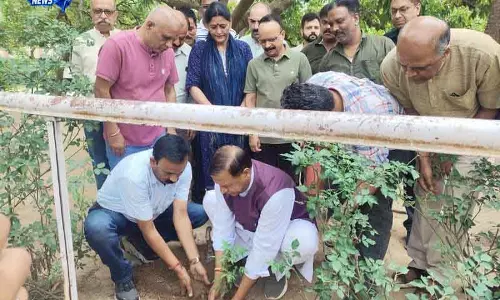 Himachal भाजपा का राज्यव्यापी पौधारोपण अभियान शुरू किया
