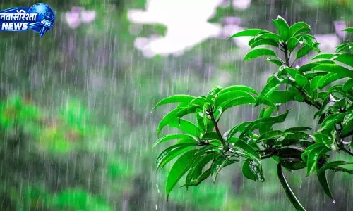 तीन जिलों में आंधी-बारिश का यलो अलर्ट, इस दिन तक खराब रहेगा मौसम