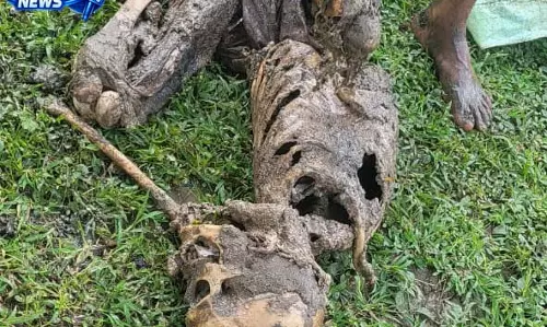 कांकेर में 10 दिन से लापता बुजुर्ग का कंकाल मिला, खेत में मिला शव कांकेर में 10 दिन से लापता बुजुर्ग का कंकाल मिला, खेत में मिला शव