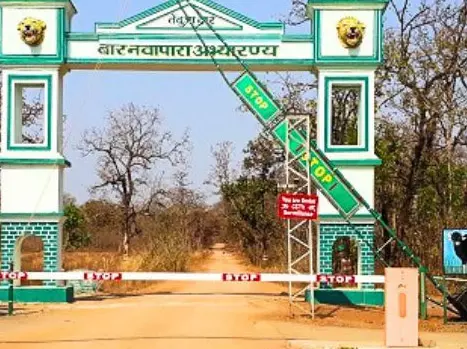 बारनावापारा अभयारण्य में नियमों का कड़ाई से पालन, आवागमन के लिये सफारी मार्ग पूर्णतः प्रतिबंधित बारनावापारा अभयारण्य में नियमों का कड़ाई से पालन, आवागमन के लिये सफारी मार्ग पूर्णतः प्रतिबंधित