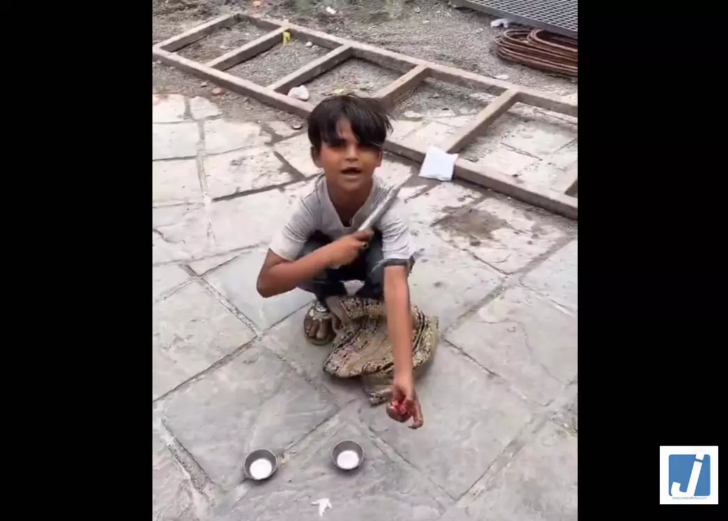 सोशल मीडिया पर छाया नन्हा जादूगर, उद्योगपति आनंद महिंद्रा भी हुए मुरीद सोशल मीडिया पर छाया नन्हा जादूगर, उद्योगपति आनंद महिंद्रा भी हुए मुरीद