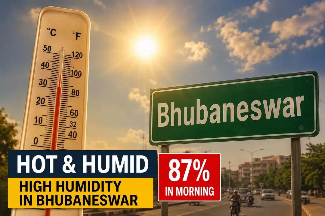 Bhubaneswar : उमस और गर्मी का बढ़ता असर, हीट इंडेक्स 47 डिग्री तक पहुंचा Bhubaneswar : उमस और गर्मी का बढ़ता असर, हीट इंडेक्स 47 डिग्री तक पहुंचा