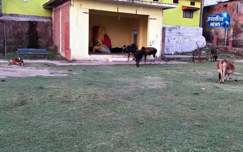 Himachal: नगर निगम की अनदेखी के कारण नूरपुर का चिल्ड्रन पार्क बदहाल Himachal: नगर निगम की अनदेखी के कारण नूरपुर का चिल्ड्रन पार्क बदहाल