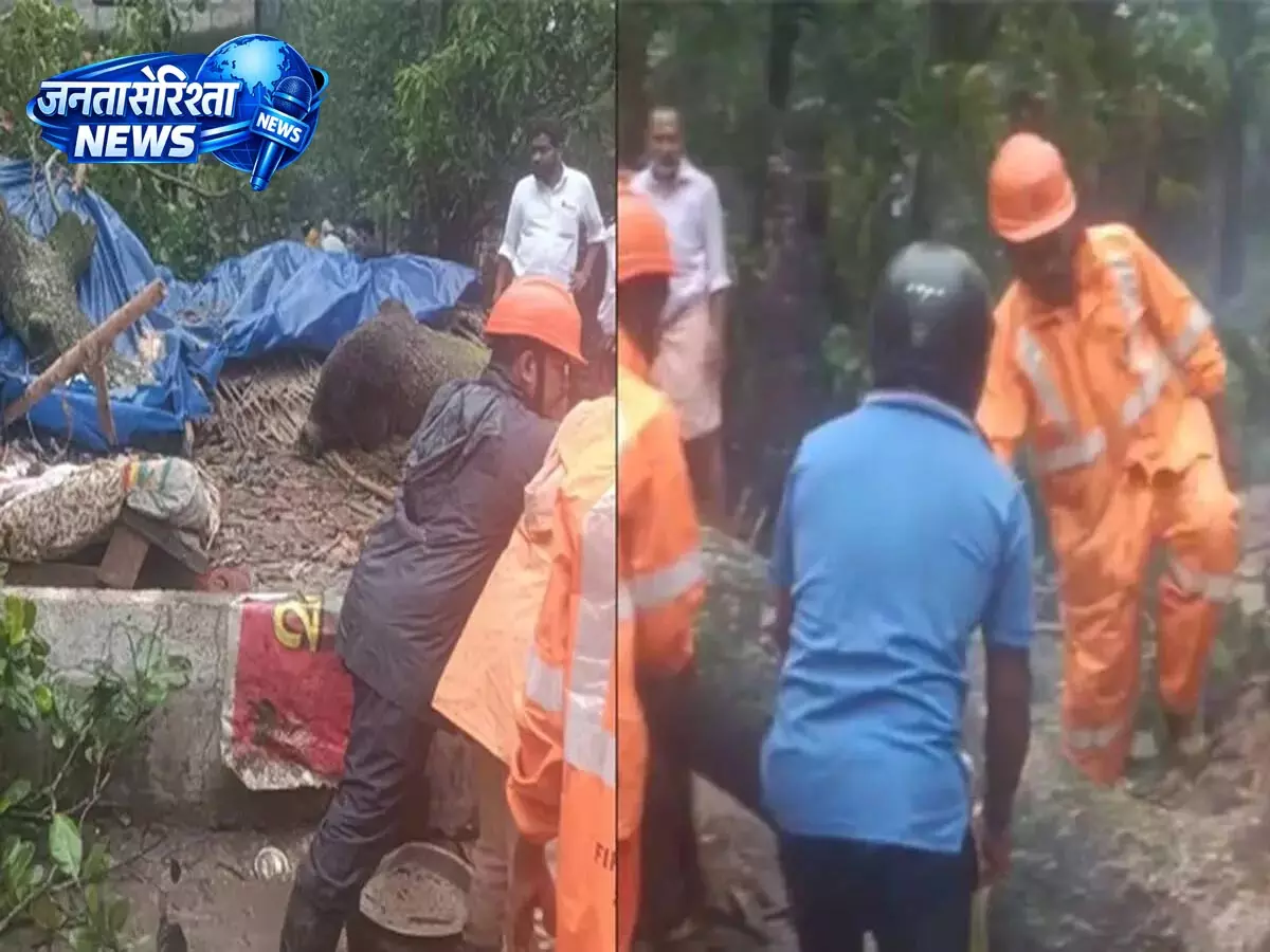 Thrissur में घर पर पेड़ गिरने से युवक की मौत Thrissur में घर पर पेड़ गिरने से युवक की मौत