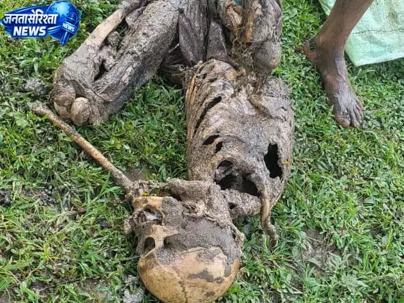 कांकेर में 10 दिन से लापता बुजुर्ग का कंकाल मिला, खेत में मिला शव कांकेर में 10 दिन से लापता बुजुर्ग का कंकाल मिला, खेत में मिला शव