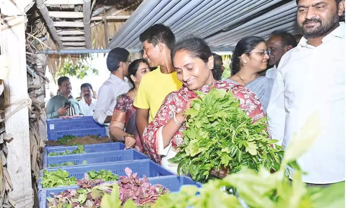 सविता ने ऑर्गेनिक डाइट अपनाने की अपील की सविता ने ऑर्गेनिक डाइट अपनाने की अपील की