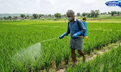 Rajasthan : कीटनाशकों के संपर्क से 535 किसानों की मौत