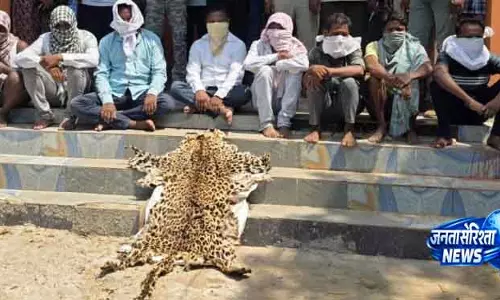 Kalyansinghpur तेंदुए की खाल ज़ब्त, 8 लोग पकड़े गए Kalyansinghpur तेंदुए की खाल ज़ब्त, 8 लोग पकड़े गए