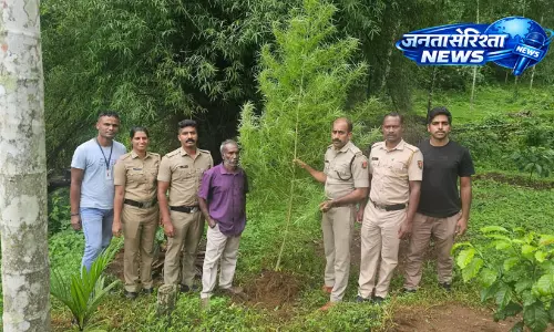 Wayanad : ऑपरेशन थंडर के तहत 360 सेमी लंबा गांजा का पौधा बरामद Wayanad : ऑपरेशन थंडर के तहत 360 सेमी लंबा गांजा का पौधा बरामद