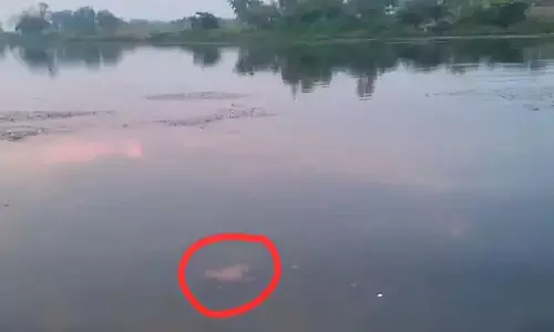 बिलासपुर ब्रेकिंग : एनीकट में डूबने से युवक की मौत बिलासपुर ब्रेकिंग : एनीकट में डूबने से युवक की मौत