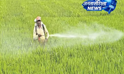Telangana के किसान तेज़ी से धान की खेती की ओर बढ़ रहा Telangana के किसान तेज़ी से धान की खेती की ओर बढ़ रहा