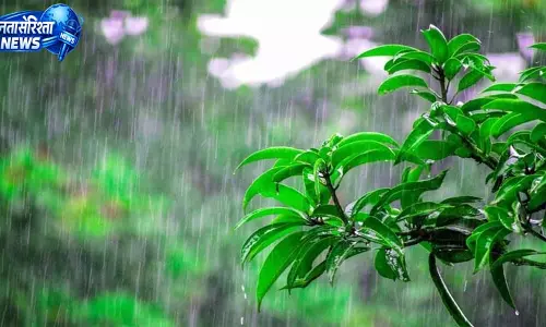 तीन जिलों में आंधी-बारिश का यलो अलर्ट, इस दिन तक खराब रहेगा मौसम तीन जिलों में आंधी-बारिश का यलो अलर्ट, इस दिन तक खराब रहेगा मौसम