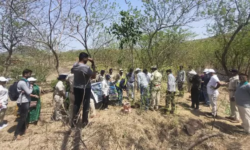 वर्ल्ड एनवायरनमेंट डे पर Nashik वनराई की 10वीं सालगिरह