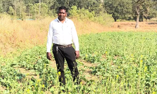 प्रधानमंत्री धन-धान्य कृषि योजना से बदल रही किसानों की तस्वीर, जशपुर के सुधीर लकड़ा बने प्रेरणा स्रोत प्रधानमंत्री धन-धान्य कृषि योजना से बदल रही किसानों की तस्वीर, जशपुर के सुधीर लकड़ा बने प्रेरणा स्रोत