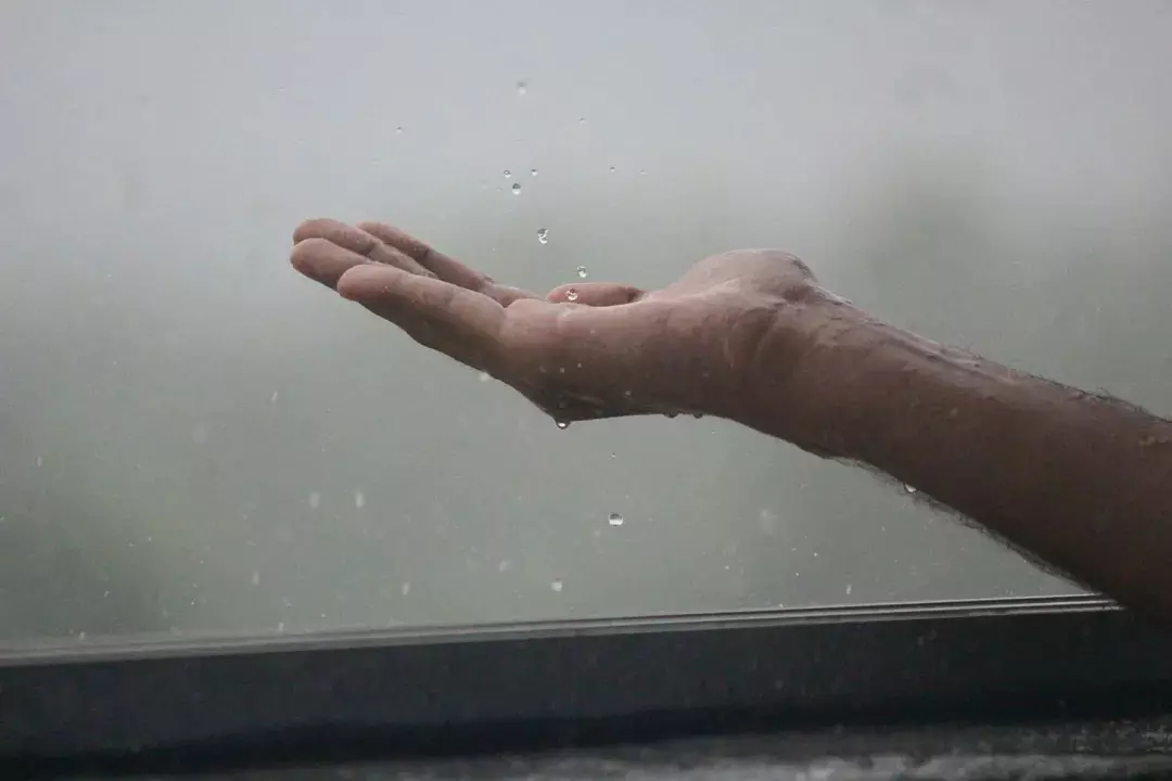 साउथवेस्ट मॉनसून ओडिशा में अगले तीन-चार दिनों में आगे बढ़ सकता है: IMD साउथवेस्ट मॉनसून ओडिशा में अगले तीन-चार दिनों में आगे बढ़ सकता है: IMD
