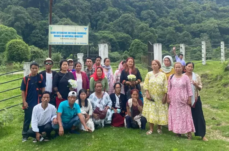 विश्व पर्यावरण दिवस पर पेड़-पौधे, जागरूकता अभियान और प्रतियोगिताएं