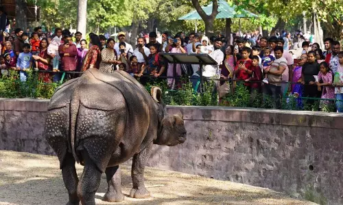 छुट्टी के दिन पर्यटकों और परिवारों का पसंदीदा बना चिड़ियाघर