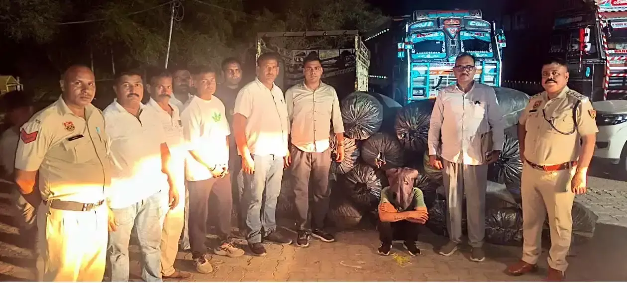 Hisar: पुलिस ने कोयले की बोरियों से बरामद की डोडा पोस्त की खेप