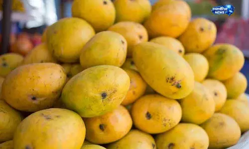 Delhi मैंगोमेनिया में पाक कला का नया अंदाज