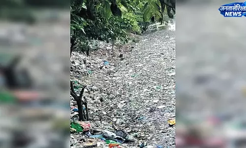 Karnataka ; सीगेहल्ली लेक में गार्बेज बैरियर के बावजूद कचरे का प्रवेश Karnataka ; सीगेहल्ली लेक में गार्बेज बैरियर के बावजूद कचरे का प्रवेश