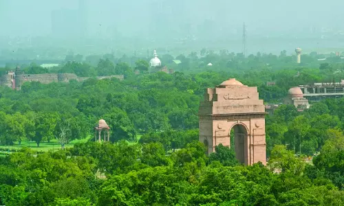 शहरी हरियाली से वायु प्रदूषण से लड़ना शहरी हरियाली से वायु प्रदूषण से लड़ना
