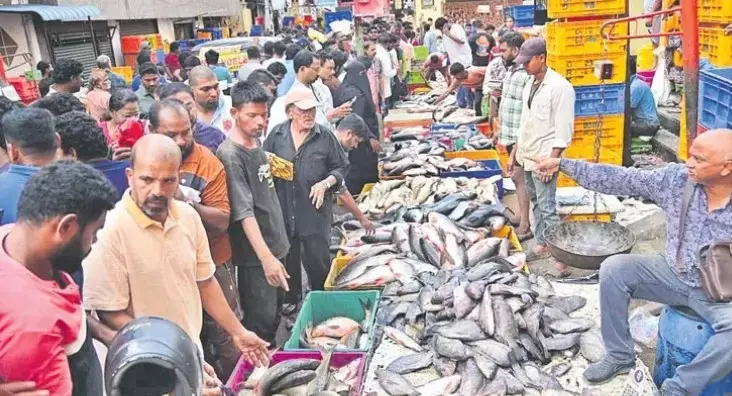 Telangana: मृगशिरा कार्थी से मछली बाज़ारों में भीड़ बढ़ी