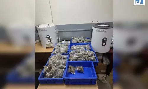 एयरपोर्ट पर 15.38 किलो हाइड्रोपोनिक गांजे के साथ दो तस्कर गिरफ्तार एयरपोर्ट पर 15.38 किलो हाइड्रोपोनिक गांजे के साथ दो तस्कर गिरफ्तार