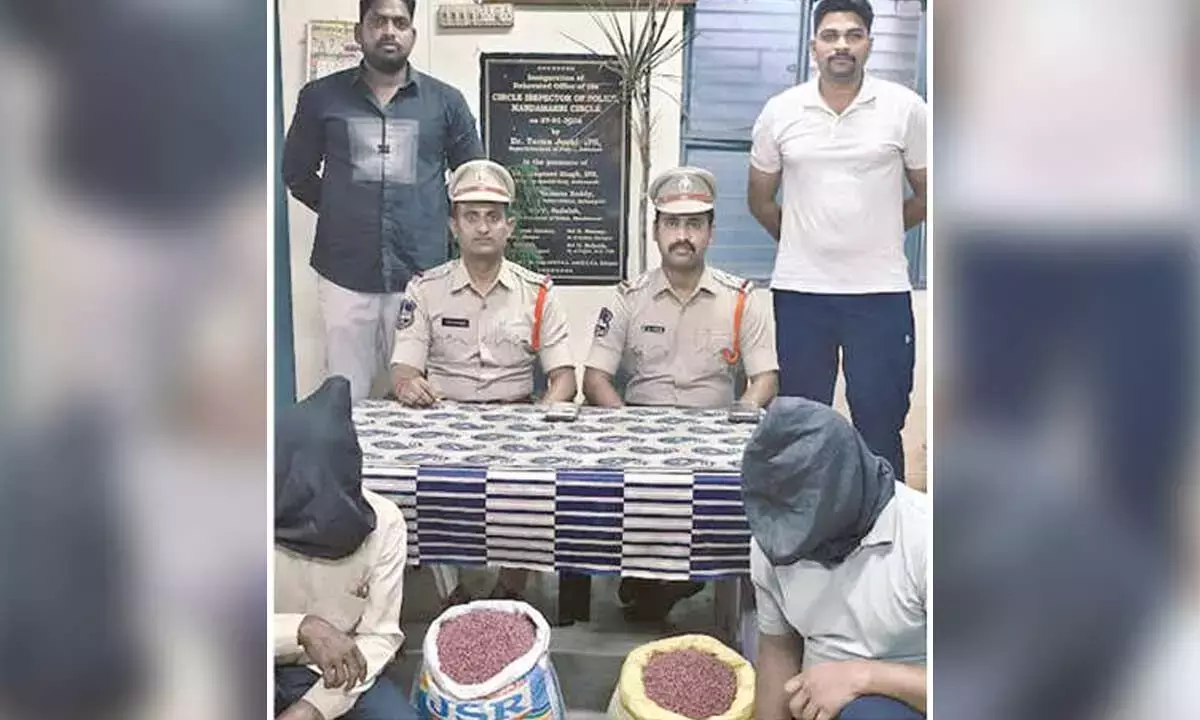 Telangana: मंचेरियल में नकली कपास बीज का गोरखधंधा फल-फूल रहा है Telangana: मंचेरियल में नकली कपास बीज का गोरखधंधा फल-फूल रहा है