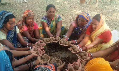 सीड बॉल बनाकर प्रकृति संरक्षण की अनूठी पहल, हरित जशपुर के निर्माण पर जोर सीड बॉल बनाकर प्रकृति संरक्षण की अनूठी पहल, हरित जशपुर के निर्माण पर जोर