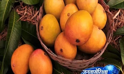 मीठा और रसीला आम चुनने के आसान तरीके