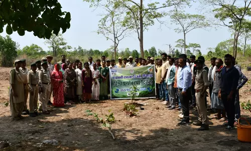 इंद्रावती टाइगर रिजर्व का अनूठा अभियान, एक पेड़ माँ के नाम से दिया प्रकृति संरक्षण का संदेश