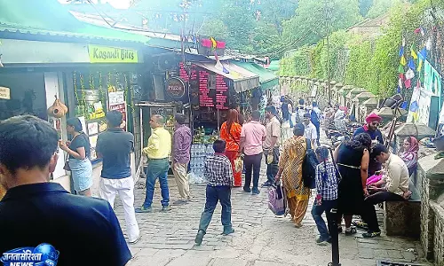 वीकेंड पर कसौली-चायल पहुंचे सैलानी, बढ़ी रौनक वीकेंड पर कसौली-चायल पहुंचे सैलानी, बढ़ी रौनक
