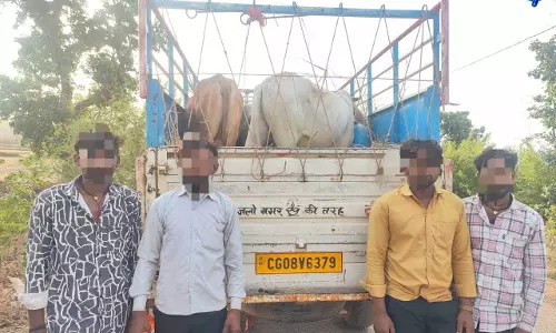 खैरागढ़ में पशु तस्करी पर बड़ी कार्रवाई, 7 आरोपी गिरफ्तार