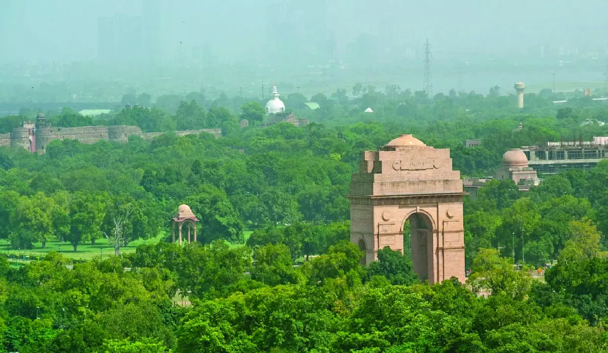 शहरी हरियाली से वायु प्रदूषण से लड़ना शहरी हरियाली से वायु प्रदूषण से लड़ना