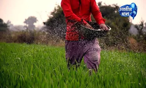 Karnal गेहूं उत्पादन में ऐतिहासिक बढ़ोतरी दर्ज